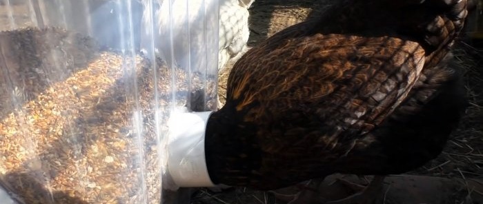 Chicken feeder that is filled once a week