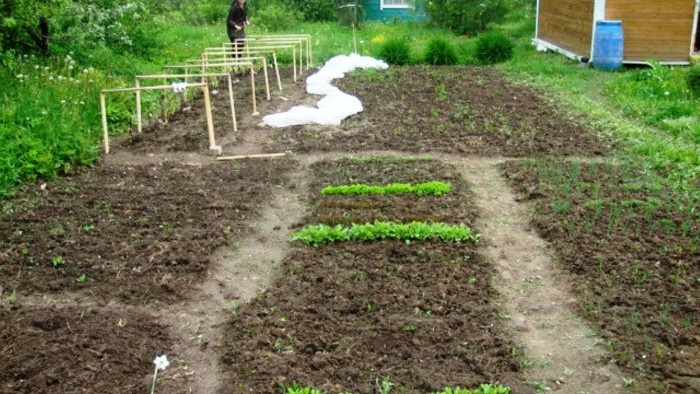 Life hack on how to quickly build a simple greenhouse at the dacha with your own hands