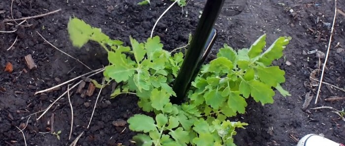 How to make a weed removal tool from fittings and pipes