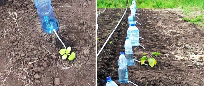 Drip irrigation system for 30 days from a plastic bottle