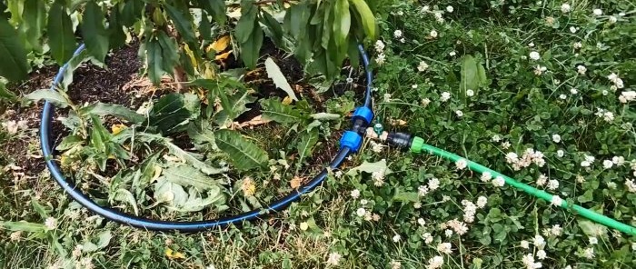 How to make automatic rainwater irrigation without pumps or electricity