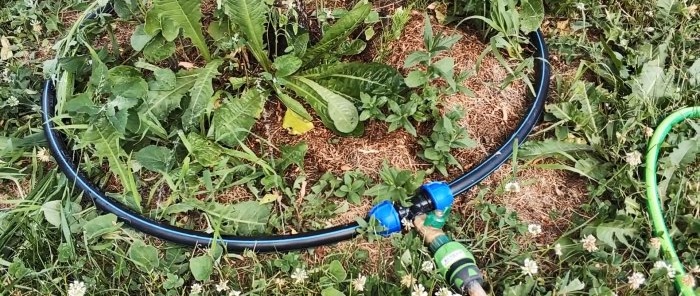 How to make automatic rainwater irrigation without pumps or electricity