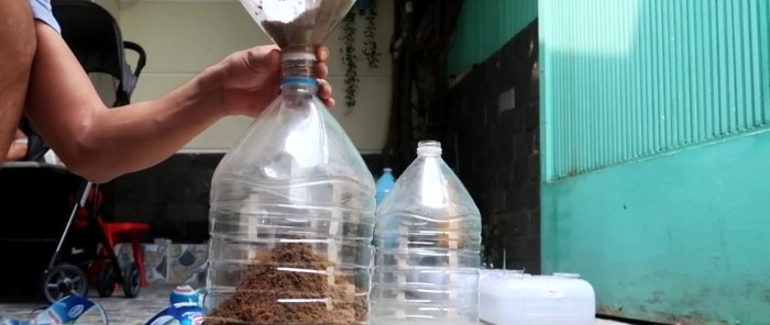 Effective rooting of roses using a plastic bottle