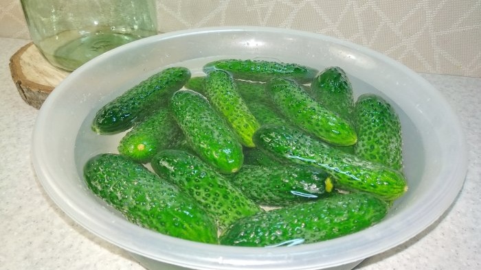 Classic recipe for pickling crispy lightly salted cucumbers in a jar