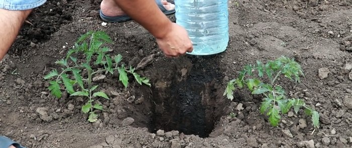 We make free, economical drip irrigation from bottles