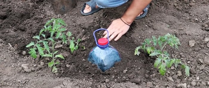 We make free, economical drip irrigation from bottles