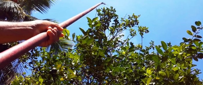 How to make a high-rise pruner from a regular pruner