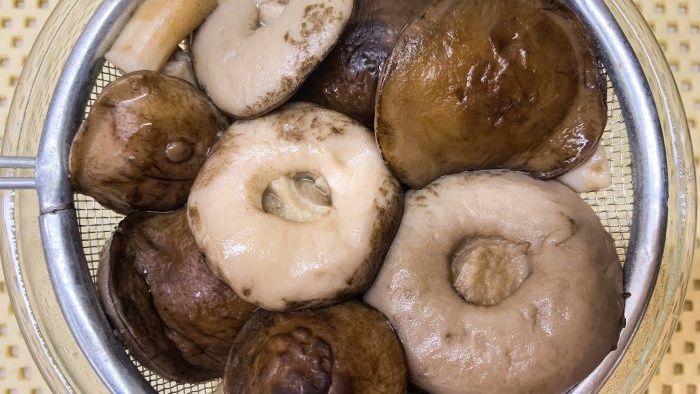 How to deliciously fry porcini mushrooms in a frying pan