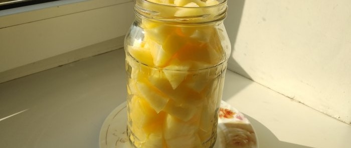 How to preserve melon and enjoy winter pieces of summer