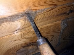 Competent do-it-yourself caulking of a wooden house