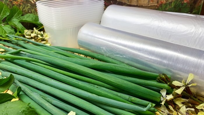 Ways to freeze green onions throughout the winter