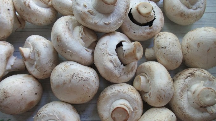 How to make mushroom powder at home