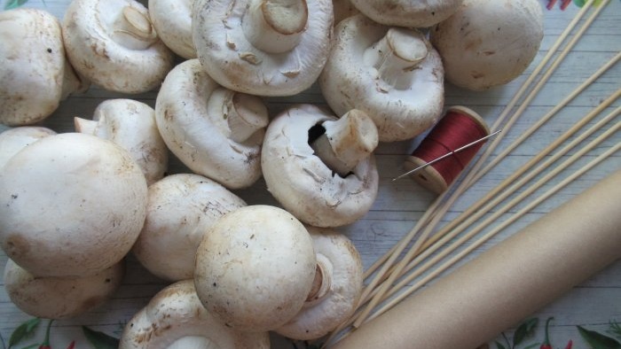 How to dry champignons without a dryer