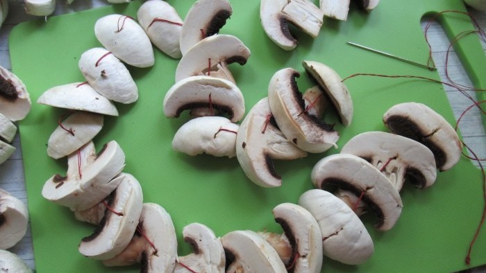 How to dry champignons without a dryer