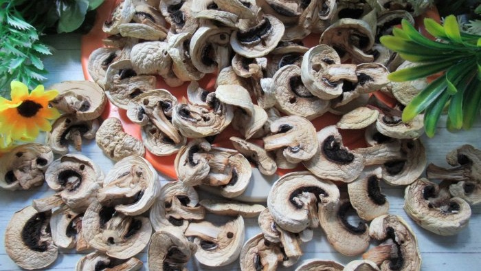 How to dry champignons without a dryer