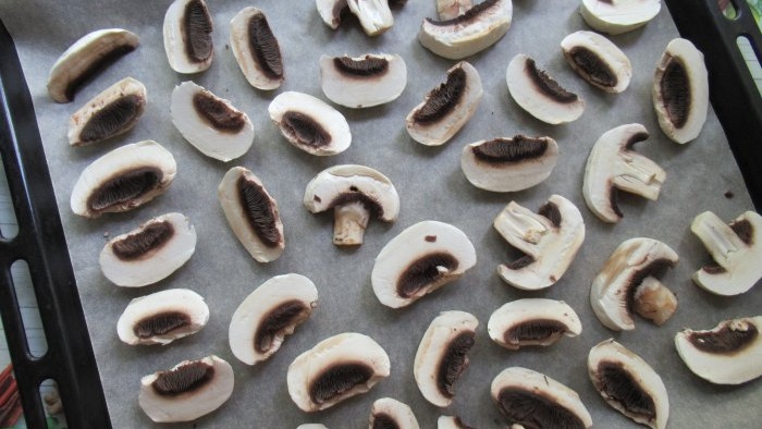 How to dry champignons without a dryer