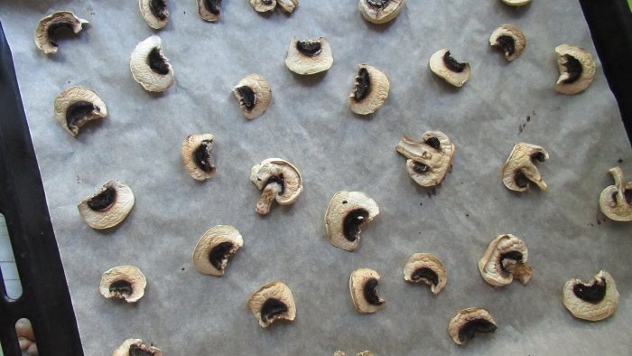 How to dry champignons without a dryer