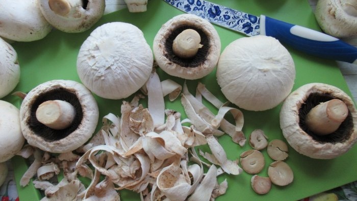 How to dry champignons without a dryer