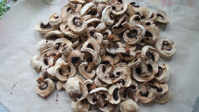 How to dry champignons without a dryer