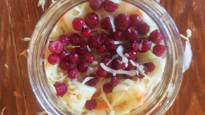 3 types of cabbage in one go, marinated with beets, classic pickled and pickled with berries