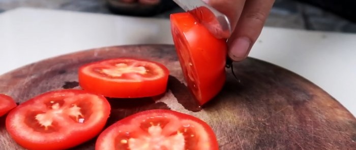 Une méthode de culture de tomates à partir de graines dans des bouteilles PET suspendues. Convient même aux appartements et aux balcons.