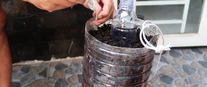 Une méthode de culture de tomates à partir de graines dans des bouteilles PET suspendues. Convient même aux appartements et aux balcons.