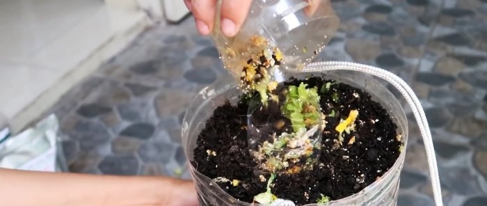 Une méthode de culture de tomates à partir de graines dans des bouteilles PET suspendues. Convient même aux appartements et aux balcons.