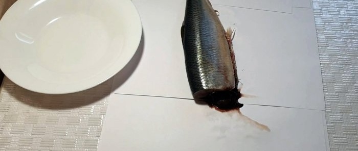 A tear-off method to quickly cut herring into boneless fillets