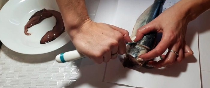 A tear-off method to quickly cut herring into boneless fillets