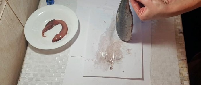 A tear-off method to quickly cut herring into boneless fillets