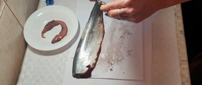 A tear-off method to quickly cut herring into boneless fillets