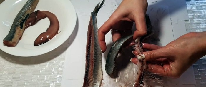 A tear-off method to quickly cut herring into boneless fillets