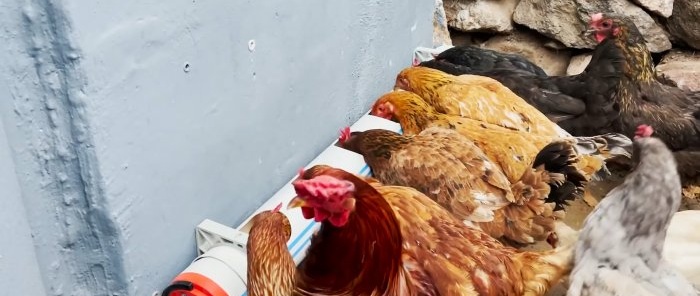 Convenient and simple bird feeder made from sewer pipes