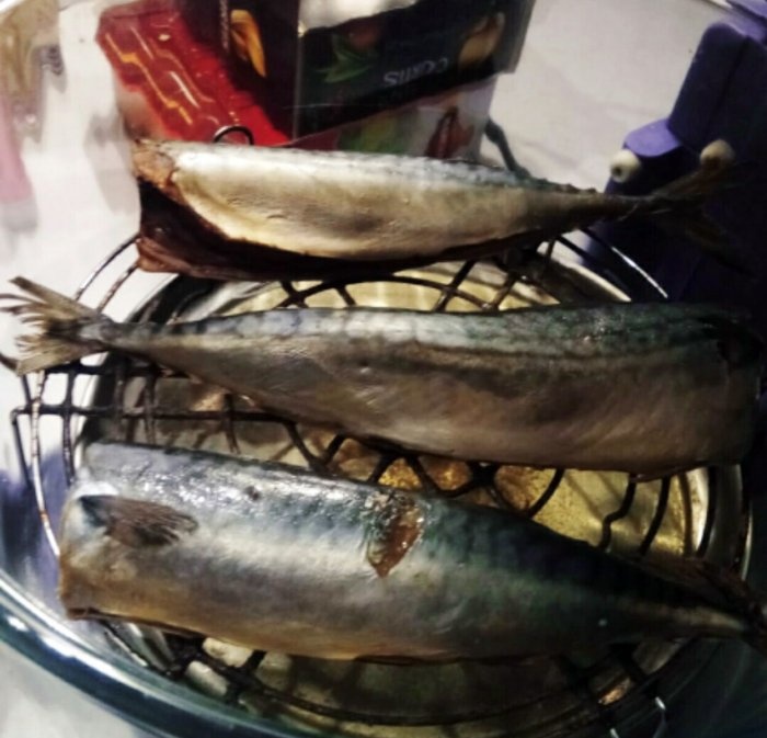 Hot smoked fake mackerel in half an hour