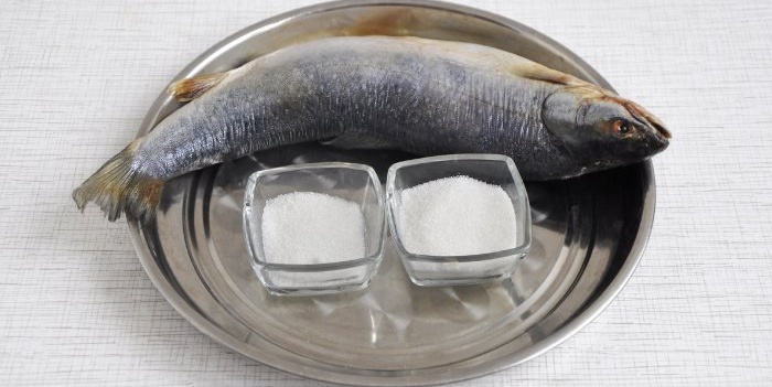 Dry salting red fish