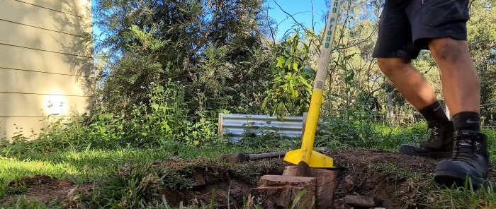 Come rimuovere un ceppo d'albero utilizzando cunei di legno