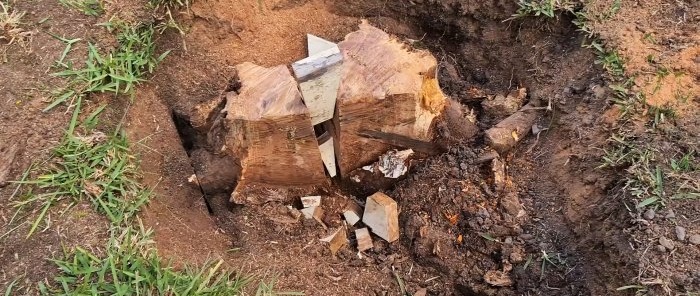 Come rimuovere un ceppo d'albero utilizzando cunei di legno