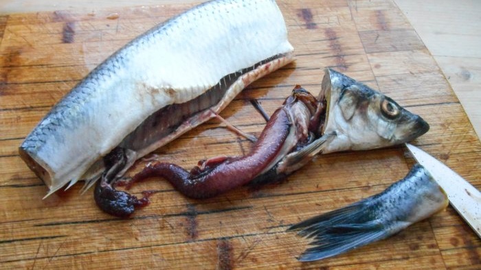 How to salt herring in an extremely tasty way: 3 dry salting methods