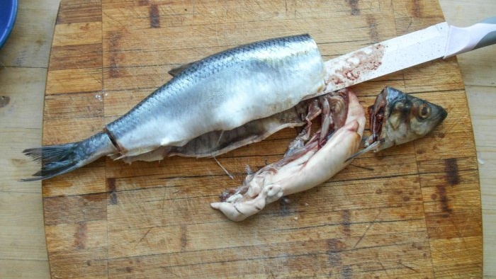 How to salt herring in an extremely tasty way: 3 dry salting methods