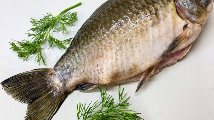 Come friggere correttamente le grandi carpe crucian in una padella