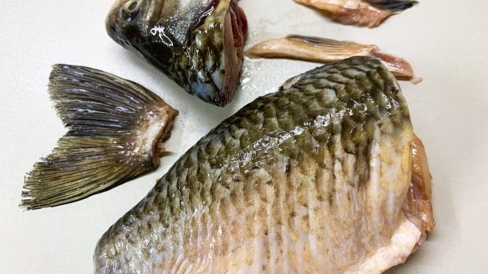 Come friggere correttamente le grandi carpe crucian in una padella