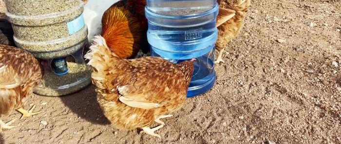 Comment fabriquer un abreuvoir et une mangeoire automatique longue durée pour volailles à partir de bouteilles PET