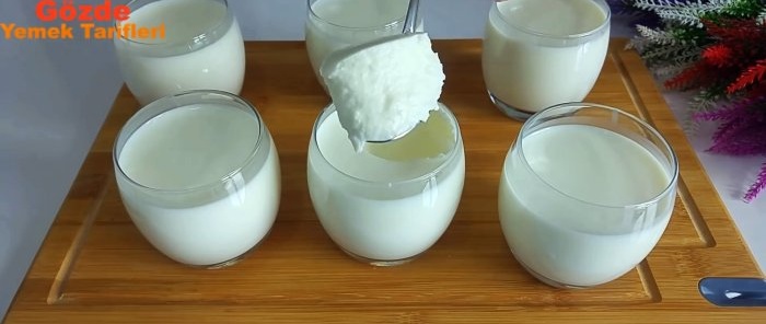 The secret to making homemade yogurt without a yogurt maker The spoon costs