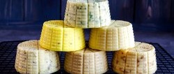 Budget recipe for making delicious homemade cheese