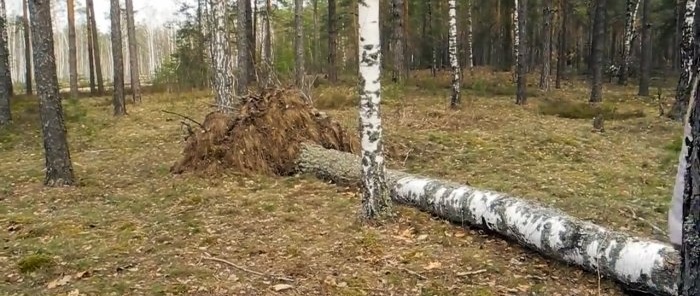 Как да получите кофа с мехлем на практика безплатно