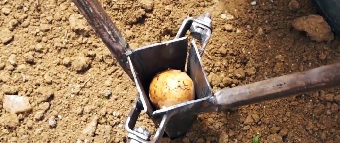 How to make and use a convenient and effective potato planter from metal waste