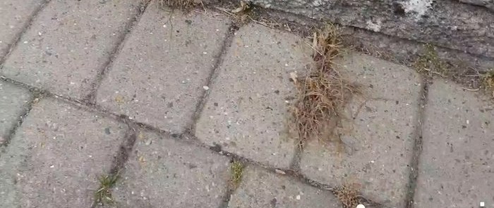 How to easily remove grass between tiles without buying chemicals