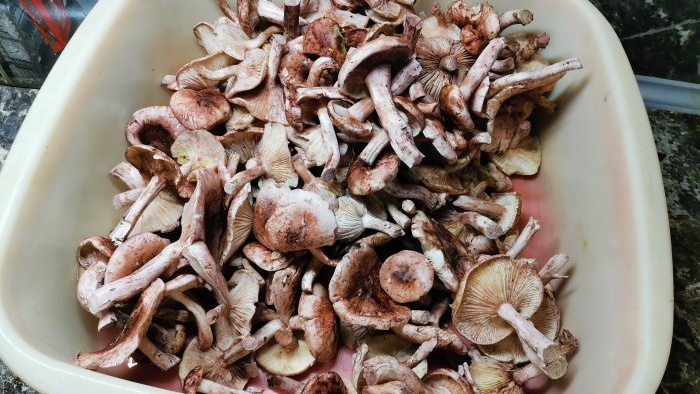 A simple recipe for cold pickled mushrooms