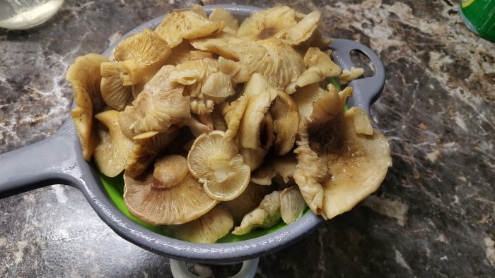 A simple recipe for cold pickled mushrooms