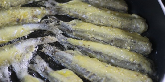 Budget delicacy How to deliciously fry capelin in a frying pan